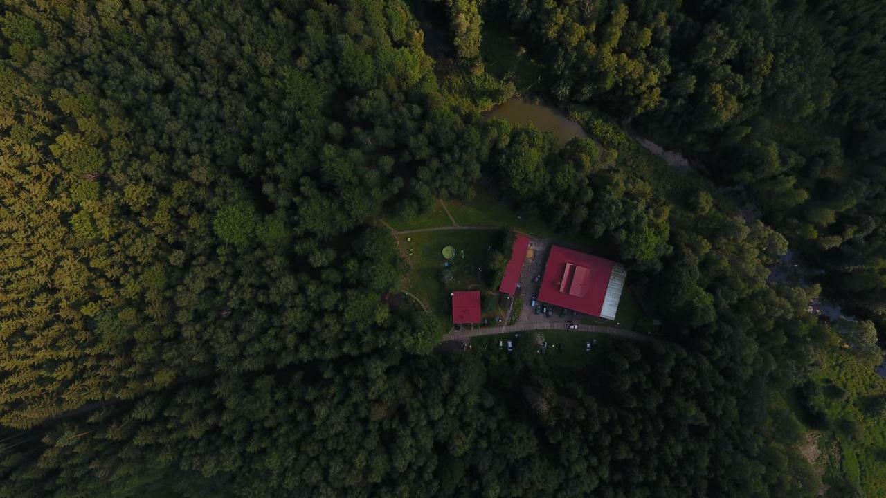 Отель Osrodek Lesny Rajsko W Zapuscie Zapusta Экстерьер фото